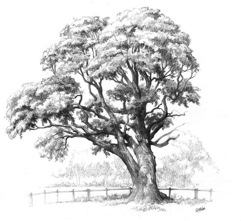 white pencil tree|realistic drawing of a tree.